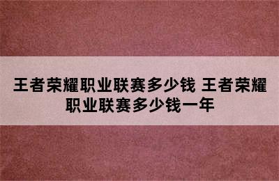 王者荣耀职业联赛多少钱 王者荣耀职业联赛多少钱一年